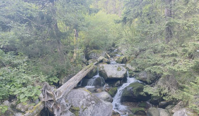 Photo 1 de l’itinéraire Bikemap « Tatranská Polianka, Vysoké Tatry až Tatranská Polianka, Vysoké Tatry »