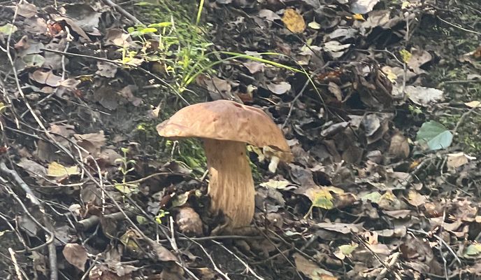 Foto 1 de la ruta de Bikemap "Н3202, Азинский до Н3202, Азинский"