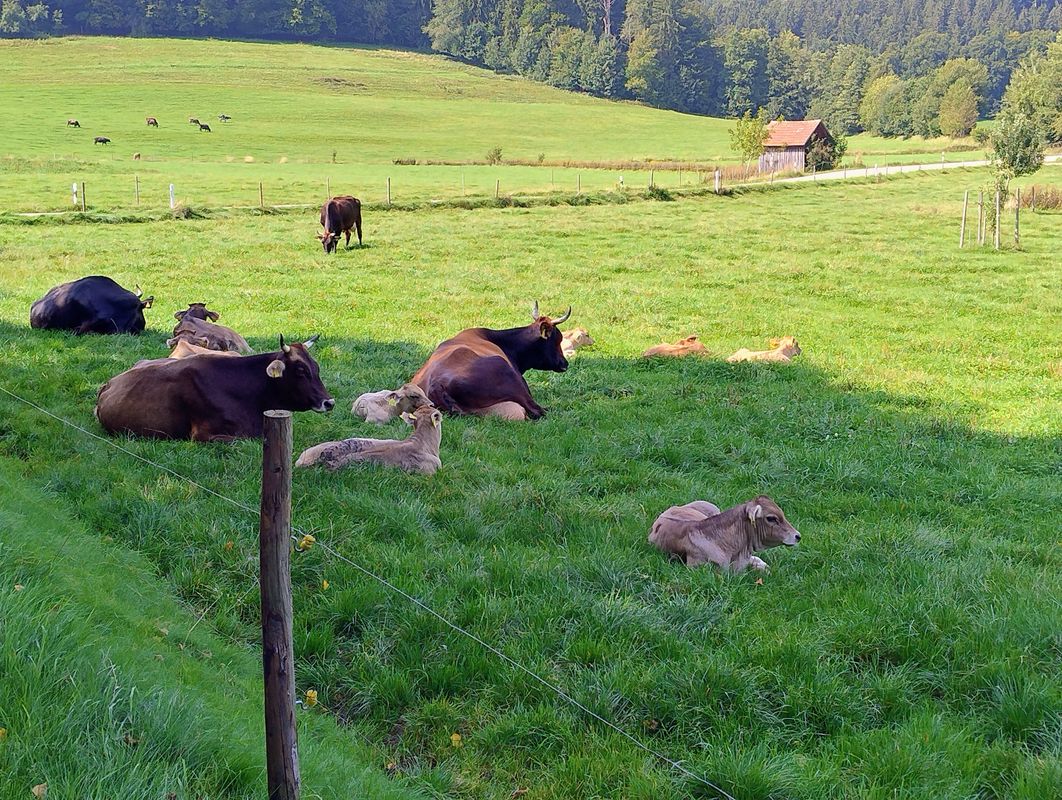 Test Tour2 100km Barockstr. 2025