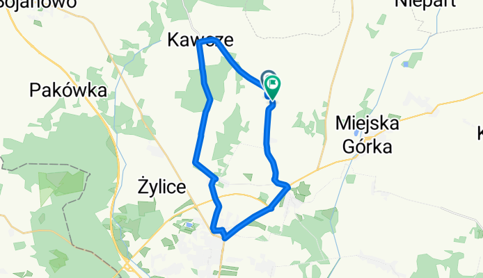 rzadko