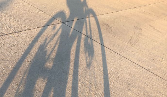 Foto 2 del percorso Bikemap "pustynia błędowska"