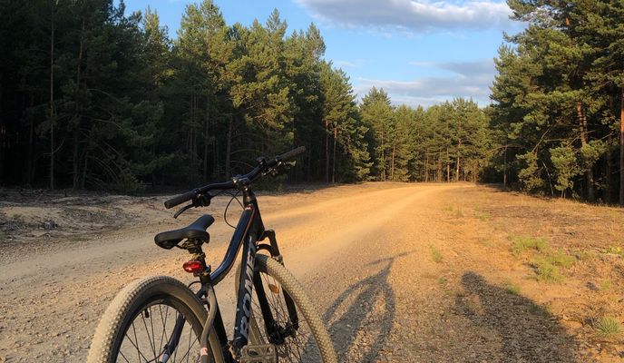 Foto 1 del percorso Bikemap "pustynia błędowska"