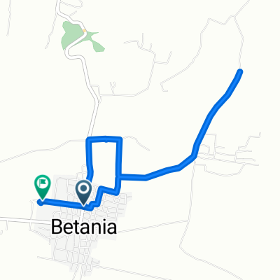 Riva Palacio, Betania a Aldama, Betania