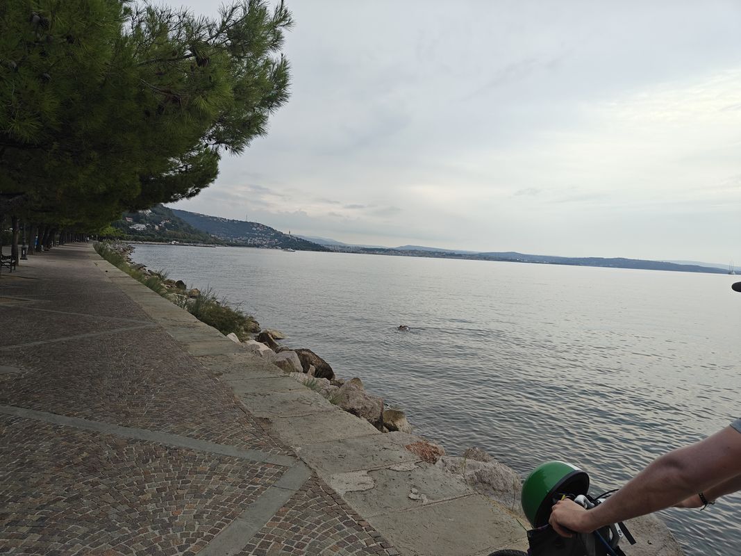 Viale Venezia Giulia nach Via Martiri della LibertĂ