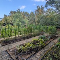 Városszer - Siskaszer 13/B