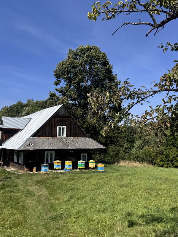 Istebna, Istebna do Istebna, Istebna