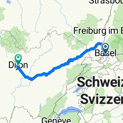 Basel Dijon