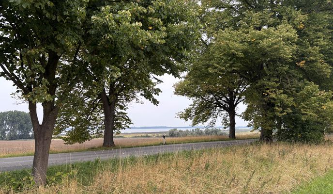 Photo 1 de l’itinéraire Bikemap « Am Strom, Rostock nach Kleine Hohe Straße, Wismar »