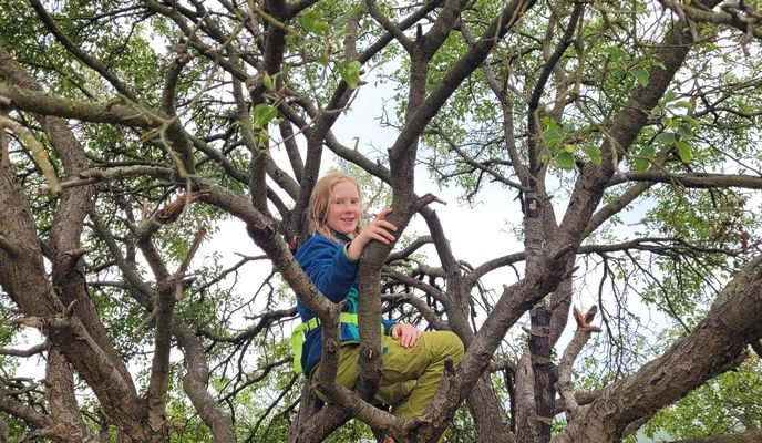 Foto 1 der Bikemap-Route "Parstein nach Dorfstraße"