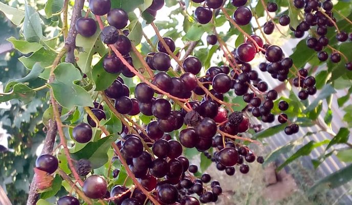 Foto 1 der Bikemap-Route "От улица Геннадия Донковцева корпус до улица Геннадия Донковцева"