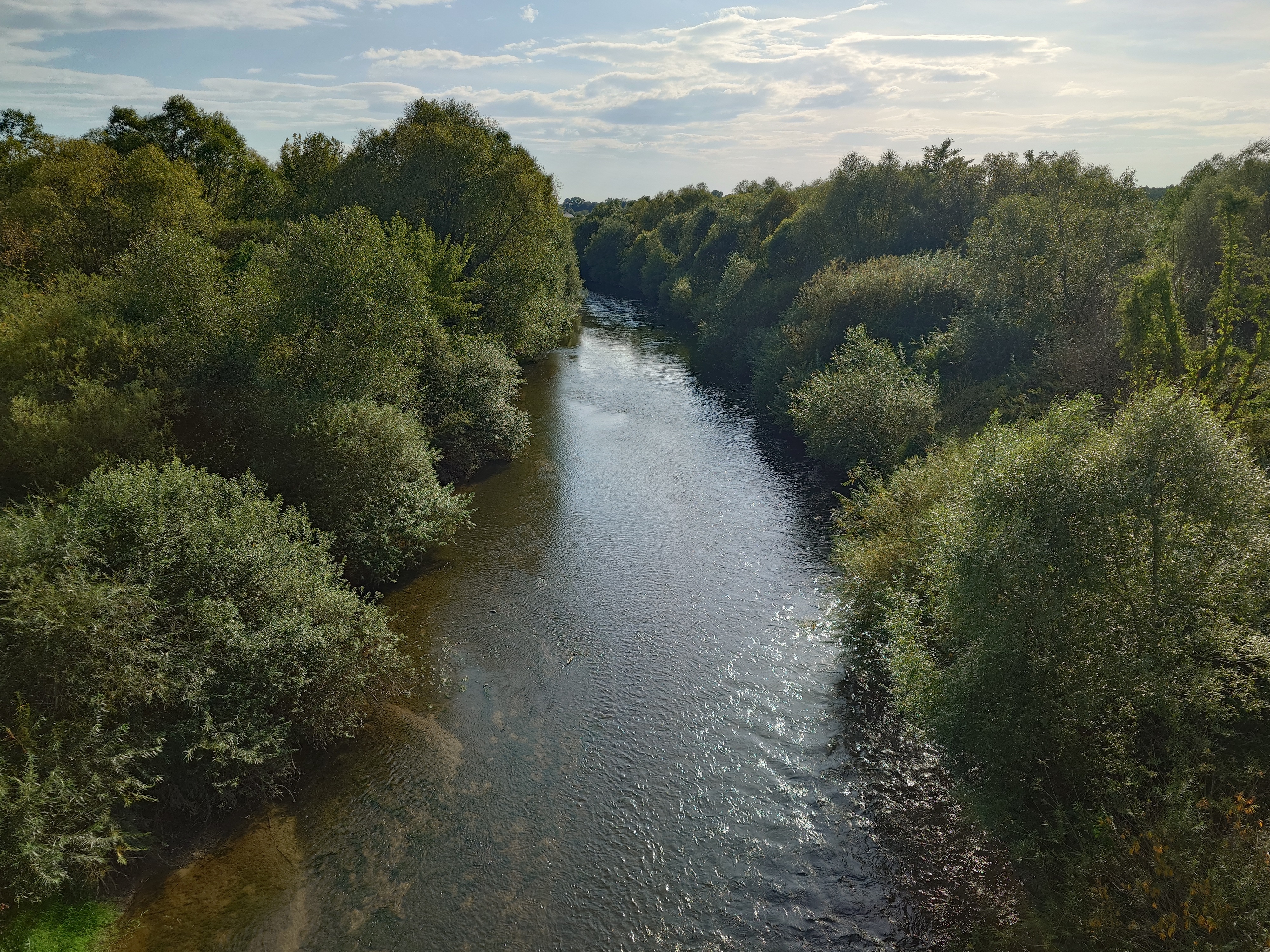 nowe Brzesko, ujście solne, Niepołomice, przylasek