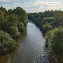 nowe Brzesko, ujście solne, Niepołomice, przylasek