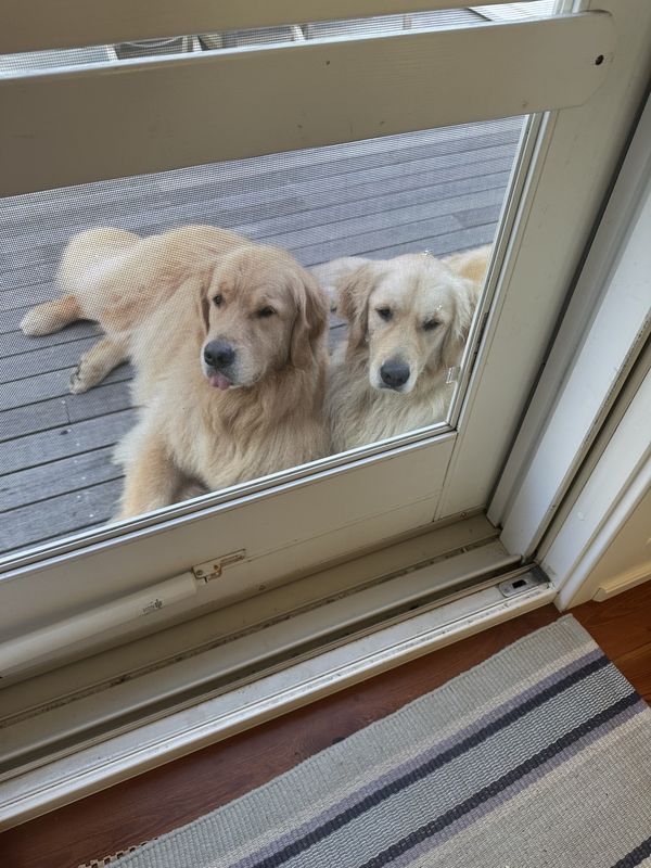 Cannonbury Ln, Nantucket to Cannonbury Ln, Nantucket