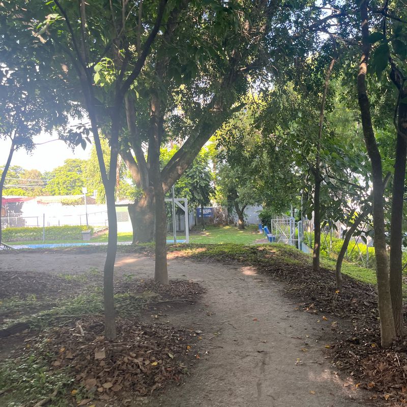 Calle Estocolmo, San Salvador a Calle Estocolmo, San Salvador