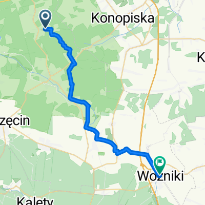 wożniki trasa