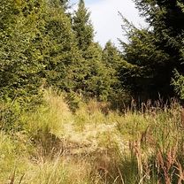 Foto 7 der Bikemap-Route "V Zelenom údolí."