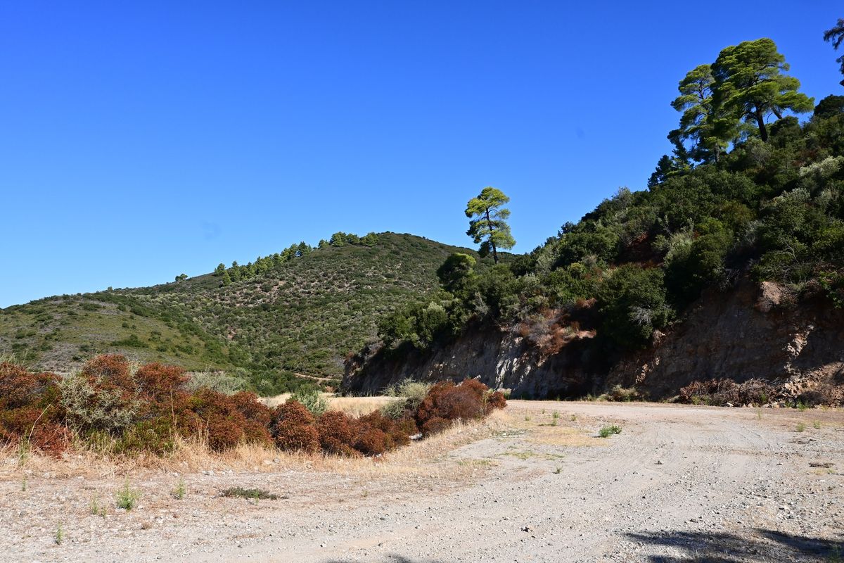 Syria - St. Ilias - Sarti - Skala Sykias