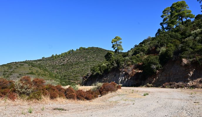 Photo 2 de l’itinéraire Bikemap « Syria - St. Ilias - Sarti - Skala Sykias »