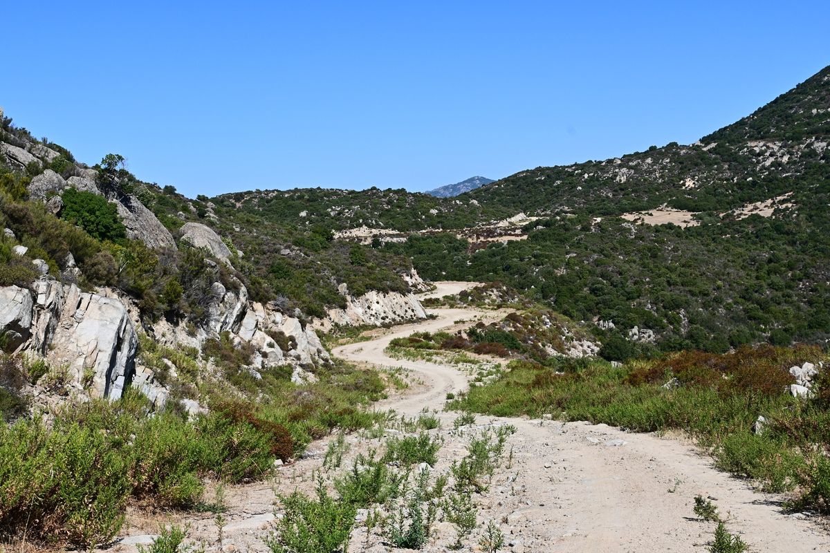 Syria - St. Ilias - Sarti - Skala Sykias