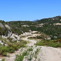 Syria - St. Ilias - Sarti - Skala Sykias