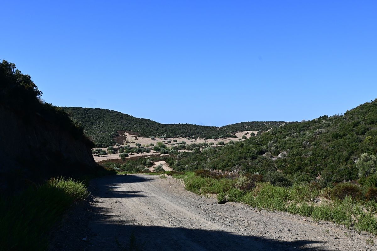 Syria - St. Ilias - Sarti - Skala Sykias