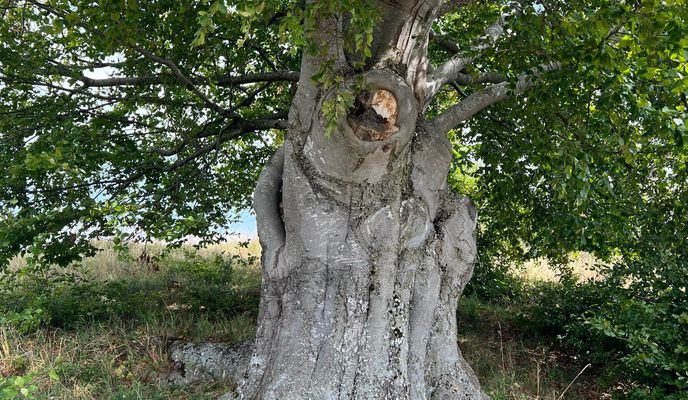 Photo 1 de l’itinéraire Bikemap « Zelená Stuha Horehronia, Mýto pod Ďumbierom až Zelená Stuha Horehronia, Mýto pod Ďumbierom »