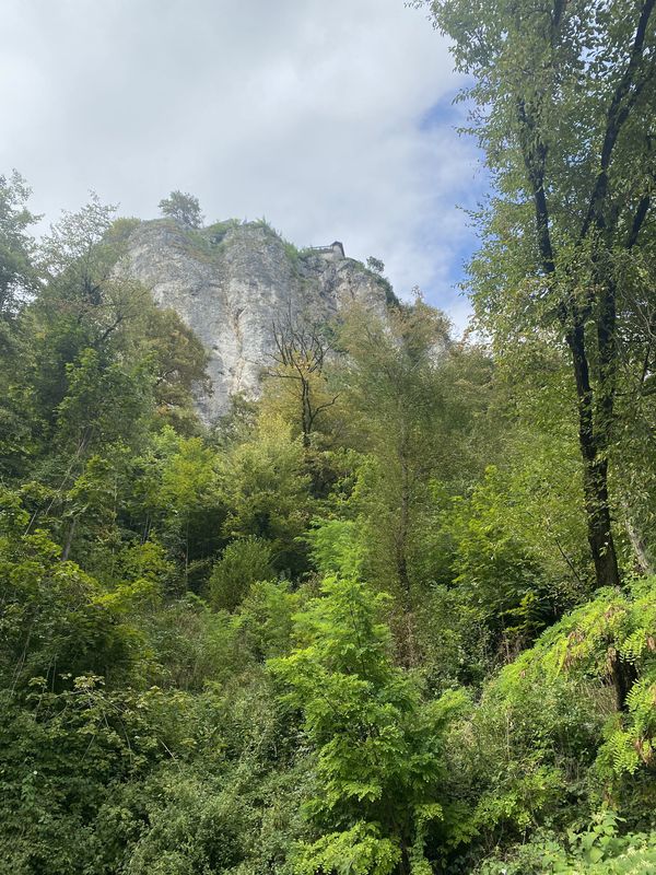 Savska cesta, Bled až Kolodvorska cesta, Bled
