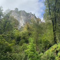 Savska cesta, Bled až Kolodvorska cesta, Bled