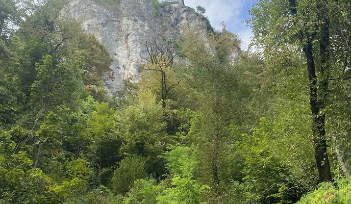 Foto 1 del percorso Bikemap "Savska cesta, Bled až Kolodvorska cesta, Bled" Foto 1 del percorso Bikemap "Savska cesta, Bled až Kolodvorska cesta, Bled"