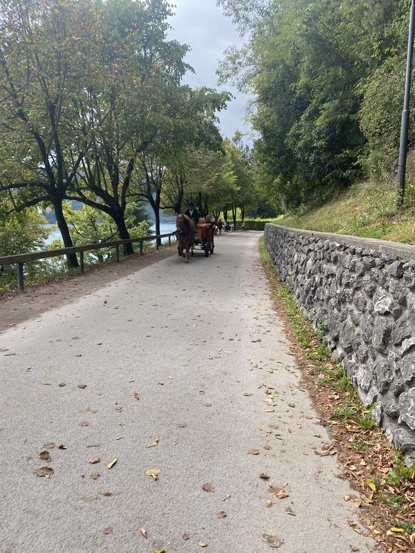 Savska cesta, Bled až Kolodvorska cesta, Bled