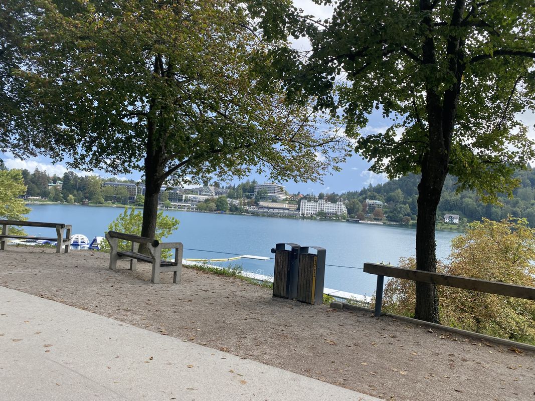 Savska cesta, Bled až Kolodvorska cesta, Bled