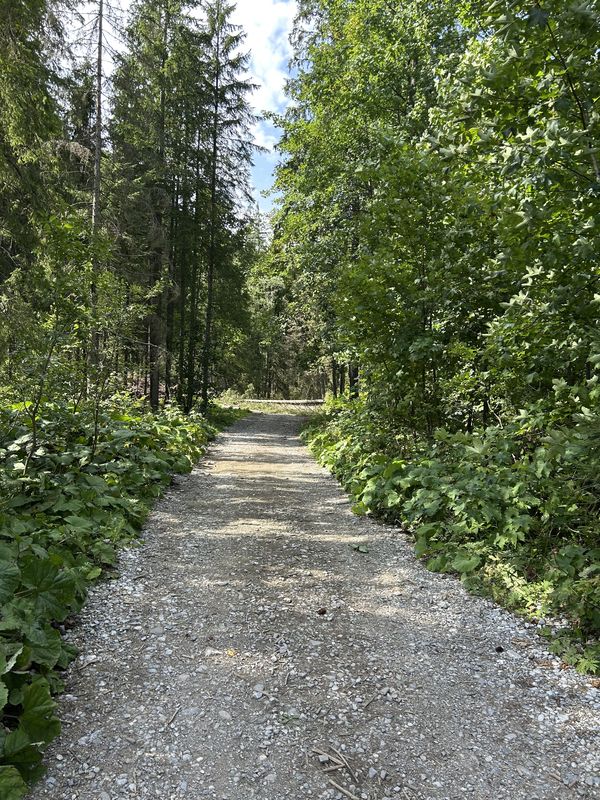 Ždiar, Ždiar to Ždiar, Ždiar