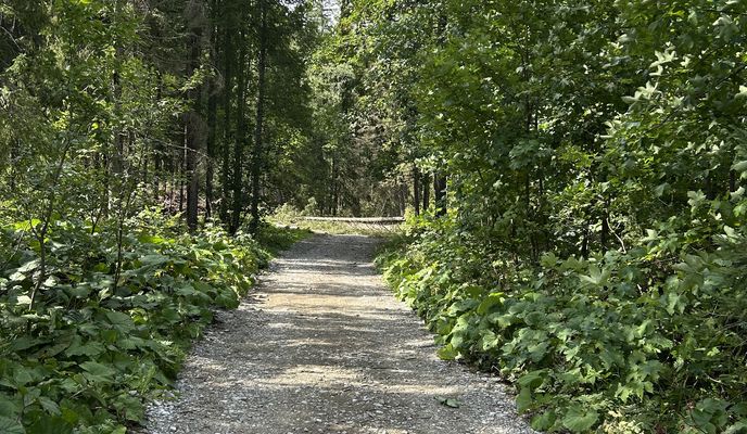 Foto 2 de la ruta de Bikemap "Ždiar, Ždiar to Ždiar, Ždiar"
