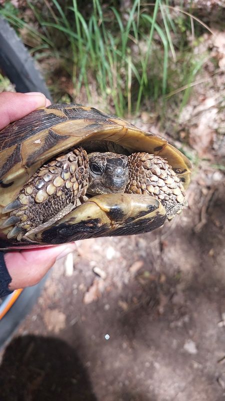 Приморско-Ранули-Приморско
