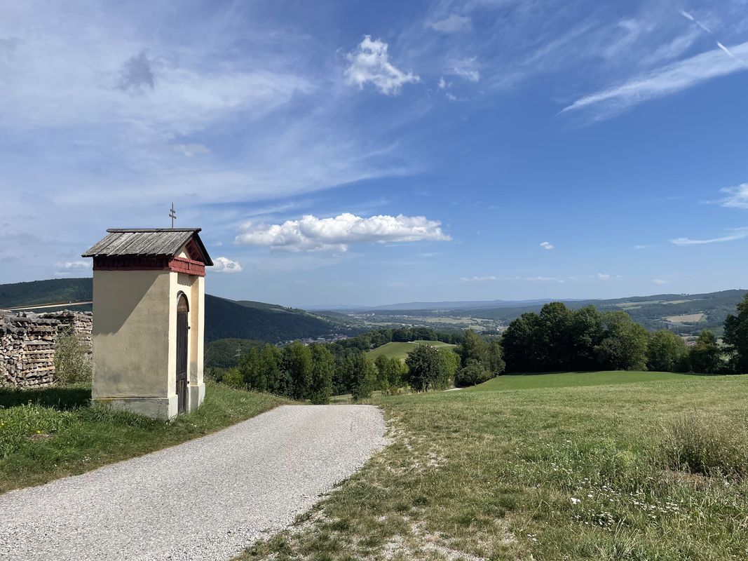 Rec Kreuzbergstrecke + Heimweg