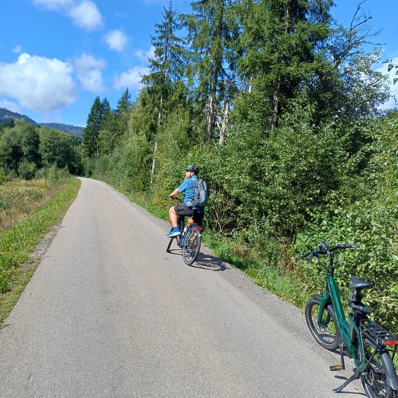 Zartenbachweg, Hinterzarten nach Zartenbachweg, Hinterzarten