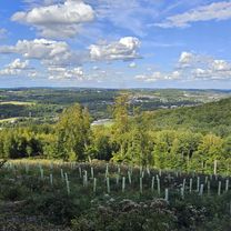 От Hagener Straße до Wittener Straße