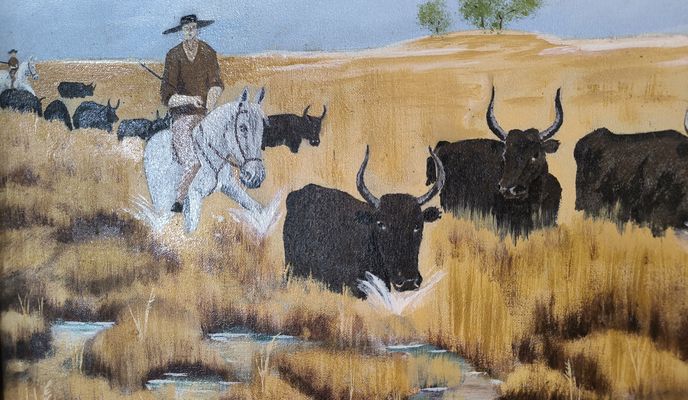 Photo 1 de l’itinéraire Bikemap « Aigues-Mortes to City camping Arles »