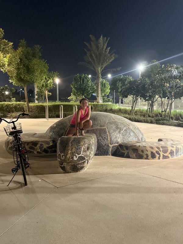 Al Dhiba Street, Abou Dabi à Saadiyat Island, Abou Dabi