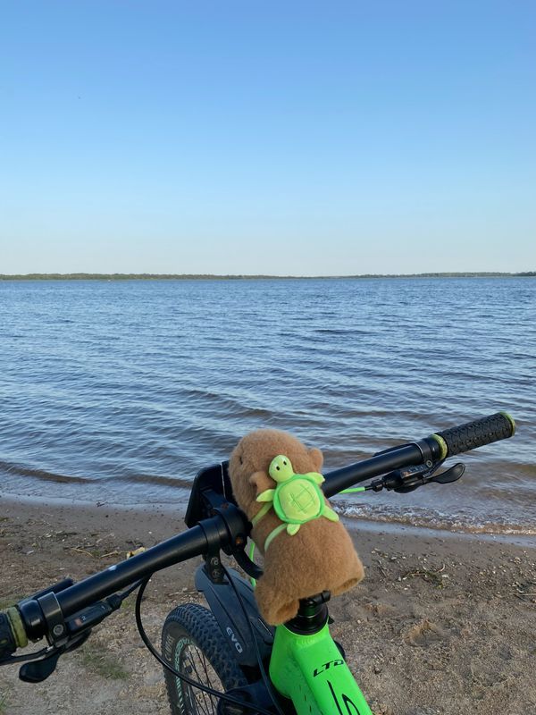 улица 8 Марта, Холопеничский до улица 8 Марта, Холопеничский