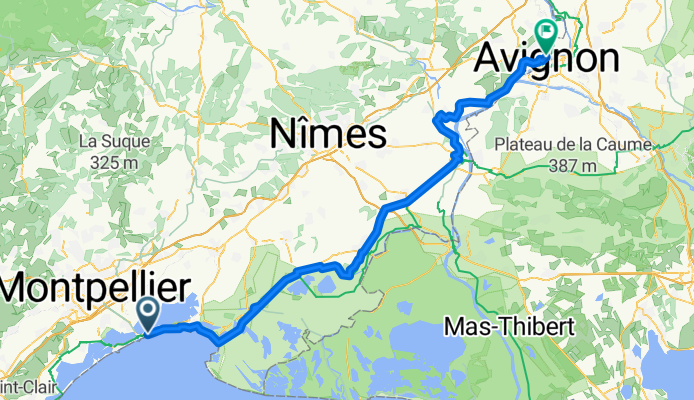 Avignon