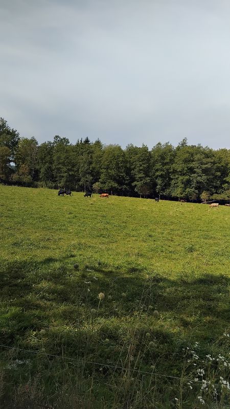 Siedlungsweg nach Siedlungsweg