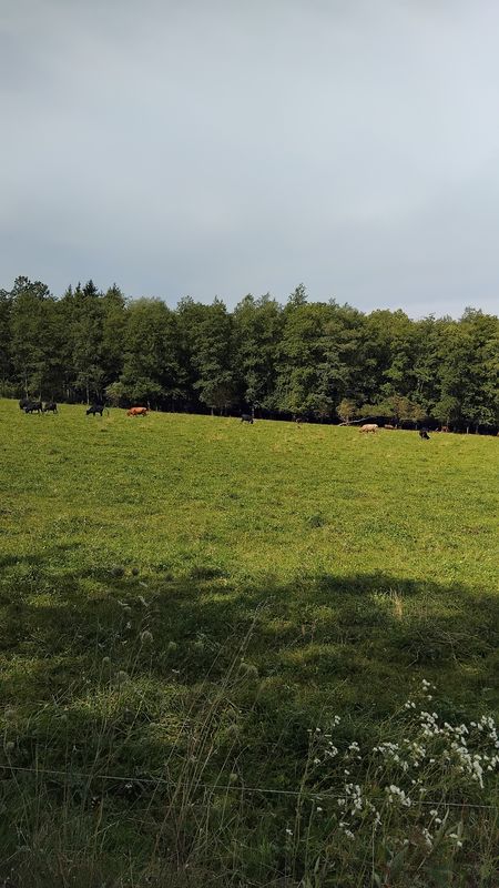 Siedlungsweg nach Siedlungsweg