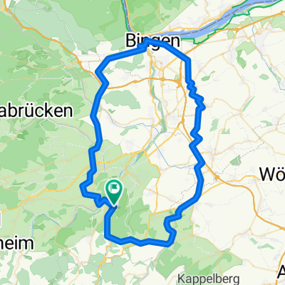 4TT26 C4 Bingen Weinberge