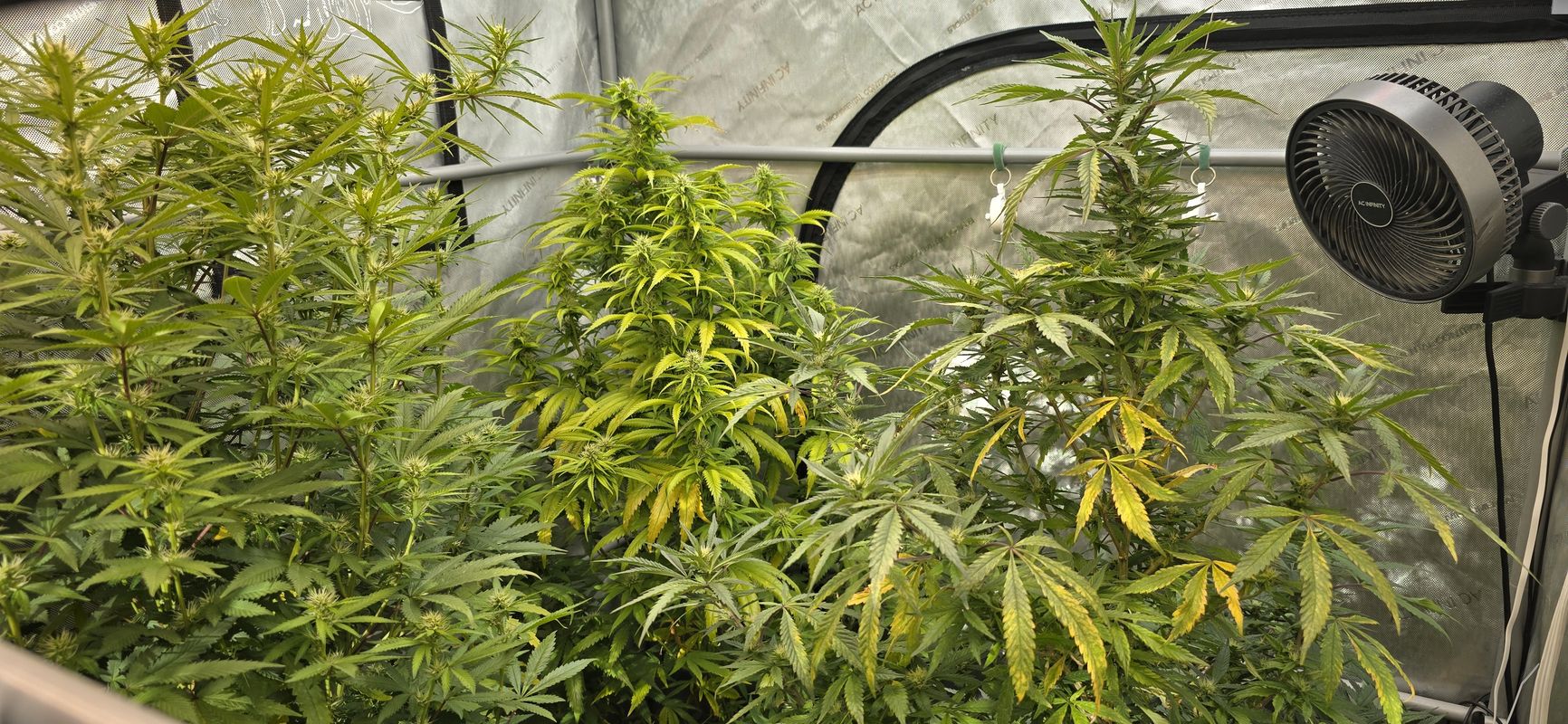 Vansco Road to Lake Shore Boulevard West