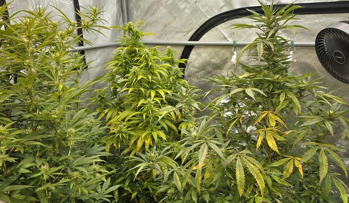 Photo 1 de l’itinéraire Bikemap « Vansco Road to Lake Shore Boulevard West » Photo 1 de l’itinéraire Bikemap « Vansco Road to Lake Shore Boulevard West »