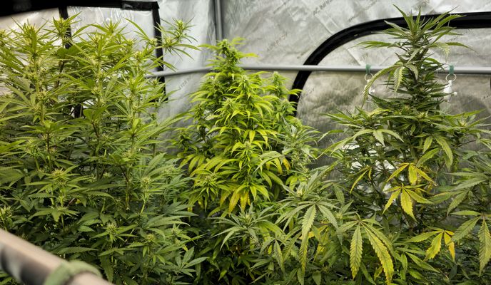 Photo 2 de l’itinéraire Bikemap « Vansco Road to Lake Shore Boulevard West » Photo 2 de l’itinéraire Bikemap « Vansco Road to Lake Shore Boulevard West »