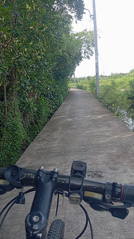 เทศบาลบางปู ซอย 2/6 59/43 to เทศบาลบางปู ซอย 2/8