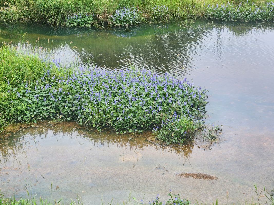 조양동 1543-4 ~ 교동 674-23