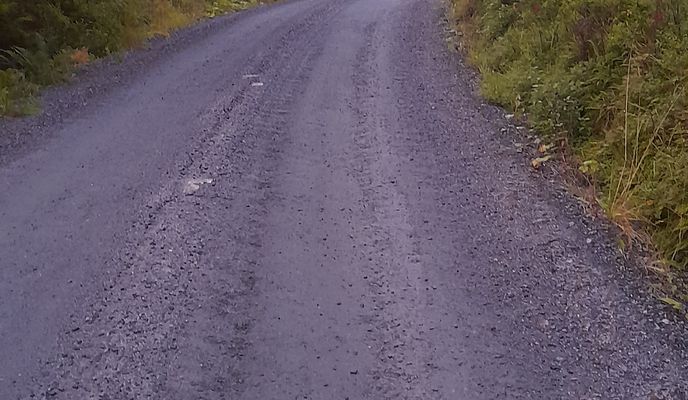 Photo 2 of the Bikemap route "Lievegen nach Lievegen"
